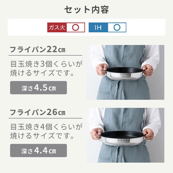 インジニオ・ネオ ティファール T-FAL IH ステンレス ブリエ インジニオ・ネオ ティファール T-FAL IH ステンレス ブリエ
