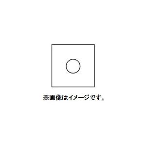 ゆうパケ可 兼房 エース 替刃No.171 角型チップ 10枚入 PCケース ゆうパケ可 兼房 エース 替刃No.171 角型チップ 10枚入 PCケース