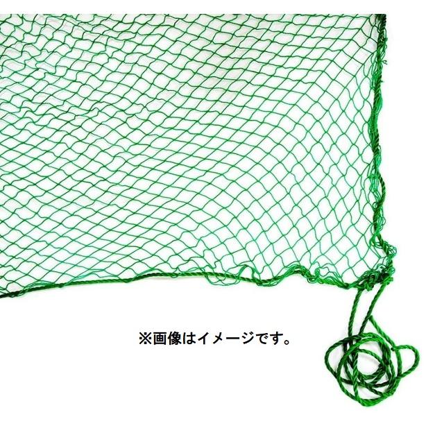 PE養生ネット 10x10m グリーン 網目25mm目 ポリエチレン 周囲6mmロープ