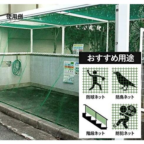 PE養生ネット 10x10m グリーン 網目25mm目 ポリエチレン 周囲6mmロープ