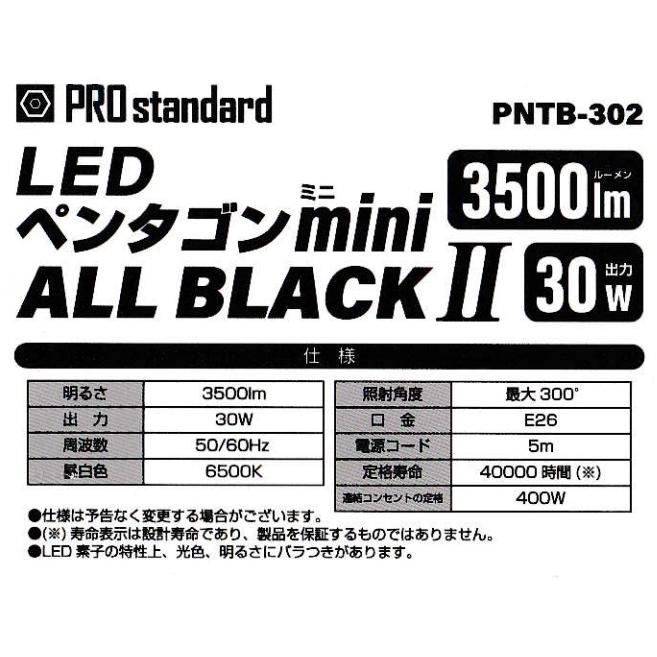 PRO standard PNTB-302 LEDペンタゴンmini オールブラックII 3500lm