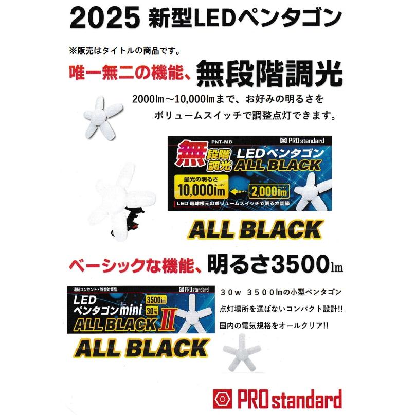 ★未開封★ NSC ブラックホール ペンタゴン 蓄光ver. ＋ペンタゴン PRO standard PNTB-302 LEDペンタゴンmini オールブラックII 3500lm