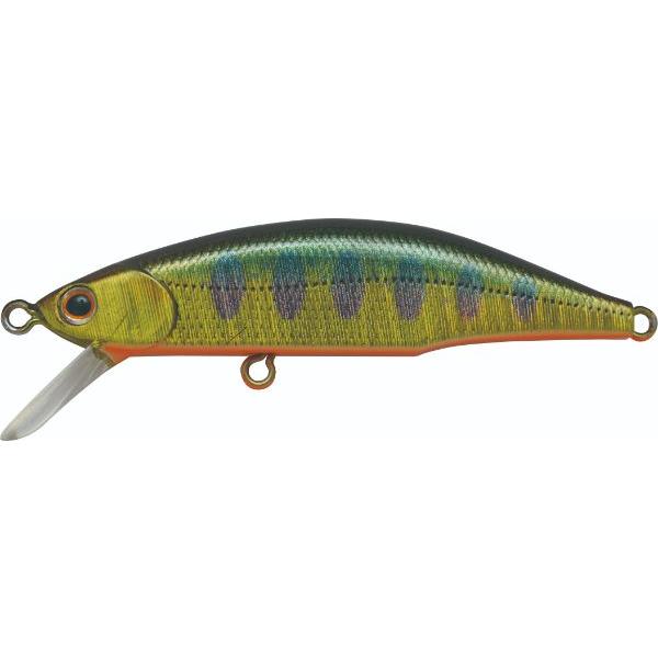 Jackson メテオーラ 52 SKY キンヤマメ : TOOLS ONLINE SHOP ヤフー店
