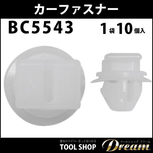 内張りクリップ 10個セット アンカークリップ VOSTONE ボストンBC5543