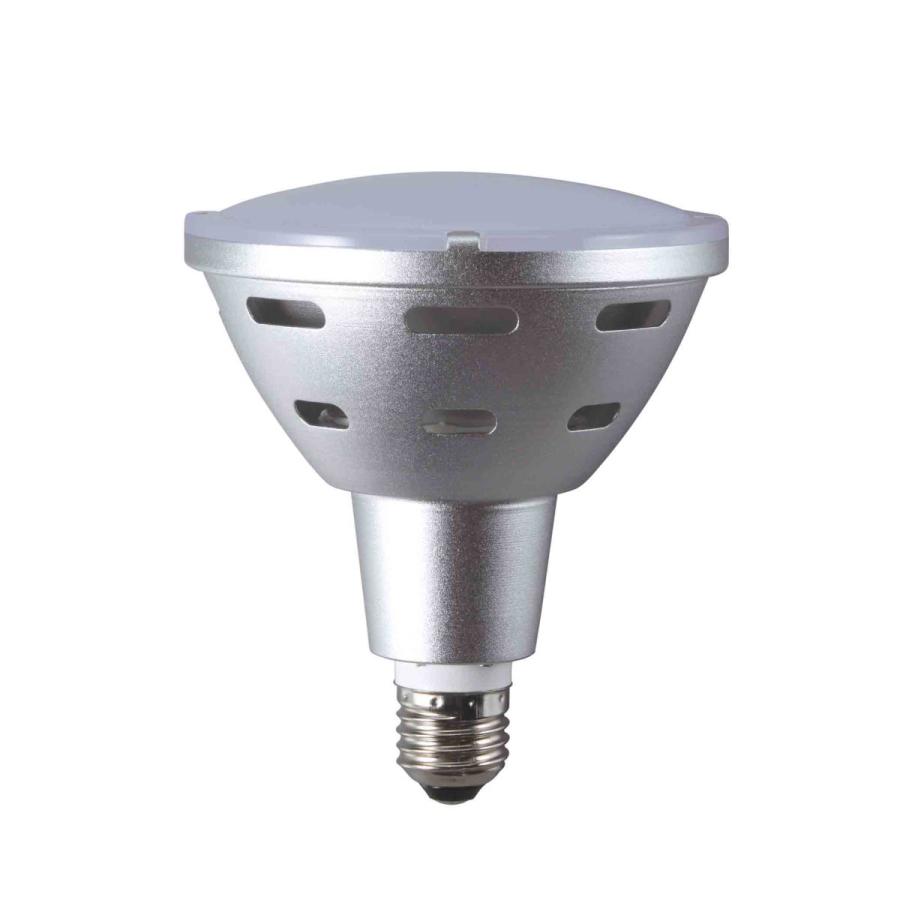 ハタヤ/HATAYA LDR20L-H110 20WLEDランプ（電球色） ハタヤ LDR20L