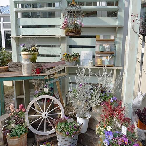 ミルキークイン Athena New York セット ミルキークイン Athena New