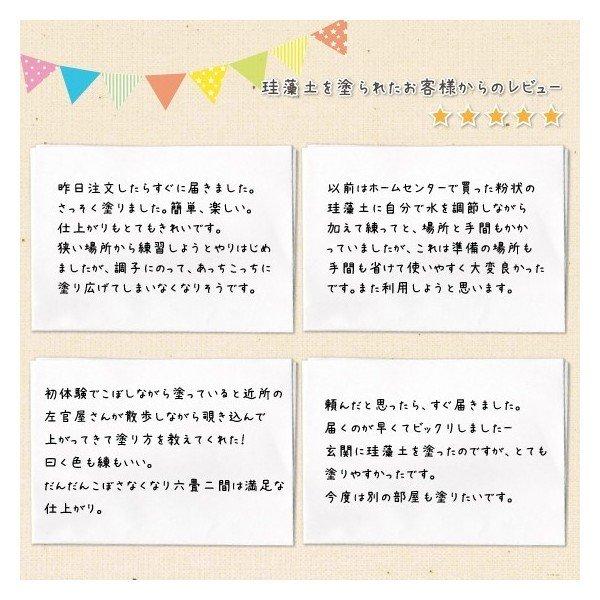 珪藻土 塗り壁材 グレインライト 4平米分 日本製 Diy Gl Toolstyle 通販 Yahoo ショッピング