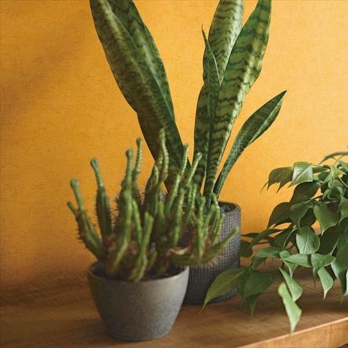 リリカラ/生のりつき壁紙・クロス LL7003 | 