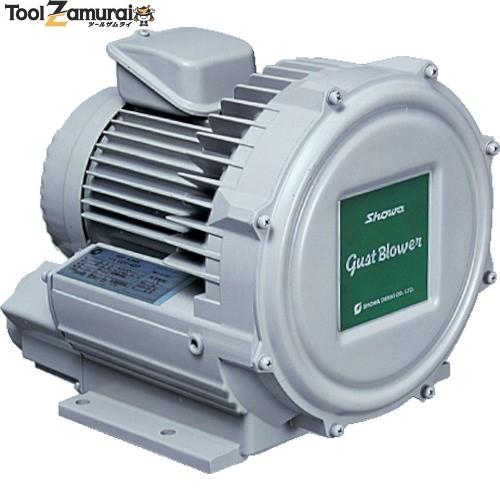 昭和 電動送風機 0 07kw 1台 238 7336 U2v 07t Ko521 ガストブロアシリーズ 渦流式高圧シリーズ 国内初の直営店 渦流式高圧シリーズ