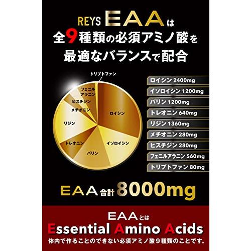 REYS レイズ EAA 山澤礼明 監修 必須アミノ酸 9種配合 600g 栄養機能