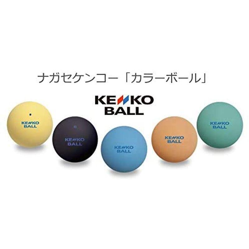 1287円 贈答 ナガセケンコー KENKO ソフトテニスボール 1ダース 12個 TSOW-V 1DOZ