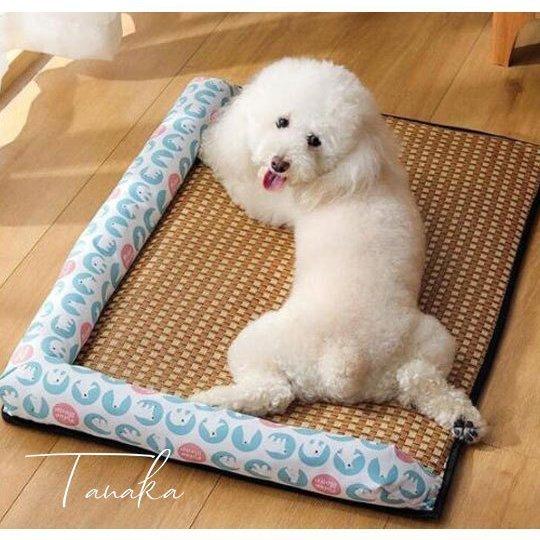 クールマット マット ペットマット 枕付き 夏 猫犬用 ひんやりマット 熱中症 大中小型犬 暑さ対策 防水加工 お買い得 接触冷感 猫用 クッション