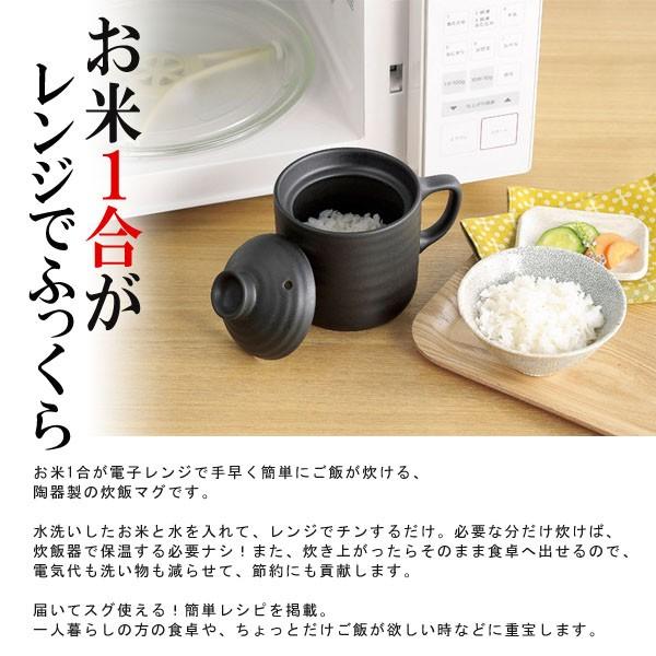 評価100件以上】炊飯器 約10分 1合 電子レンジ専用 陶器 レシピ付 時短