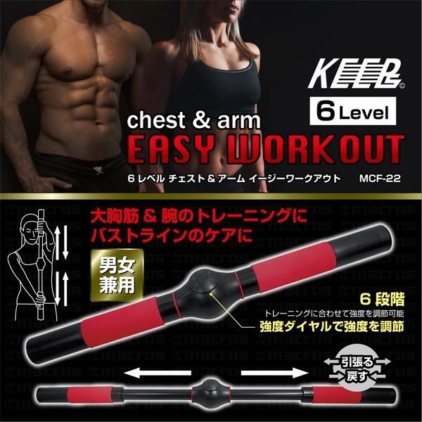 激安bigセール 引っ張る 戻す で美しい上半身へ エクササイズ 筋トレ 器具 6段階レベル調整 大胸筋 バストライン 二の腕 Easy Workout Top1 プライス Paypayモール店 通販 Paypayモール