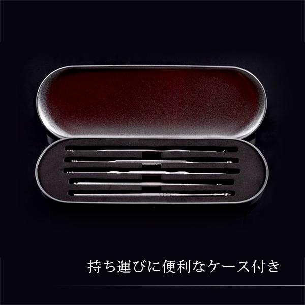 耳かき 5本セット ステンレス 耳垢 よく取れる クリーナー 携帯 ヘラ