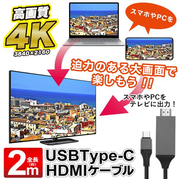 独創的独創的Type-C用 HDMI 変換ケーブル 4K対応 高画質 高解像度 スマホ・パソコンの画面をテレビに出力 ミラーリング 動画 ゲーム  大画面 接続 ◇ T-CケーブルDL AVケーブル