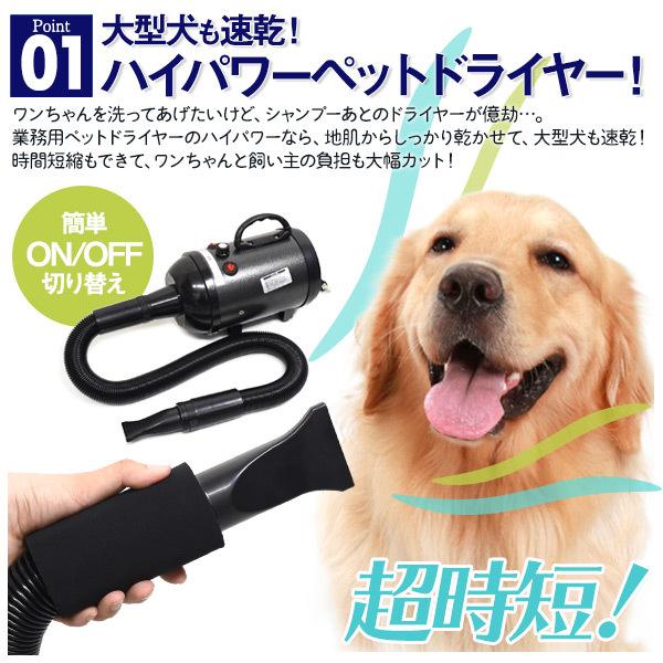 送料無料 ペットドライヤー 熱くない温風 肌の負担が少ない 速乾 業務 ...