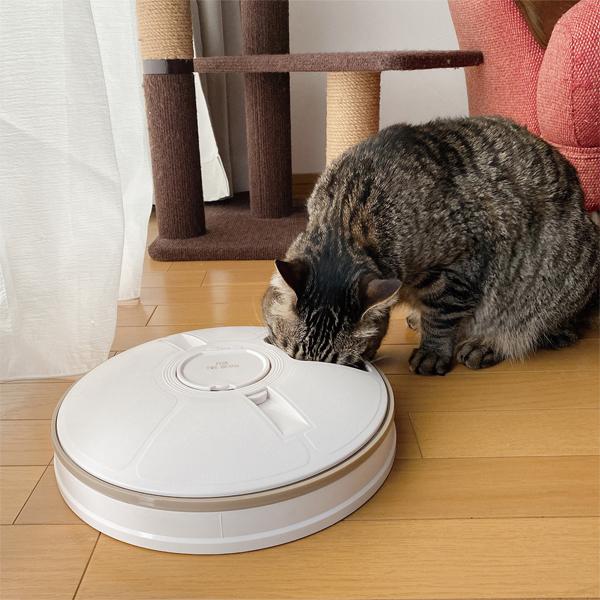 自動給餌器 オートフィーダー 猫 犬 タイマー機能 回転式 最大6