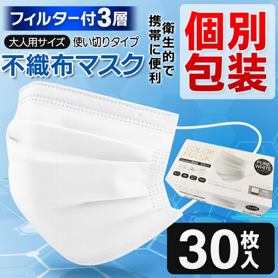 不織布マスク 30枚 立体マスク 個包装 ふつうサイズ 使い捨てマスク 三