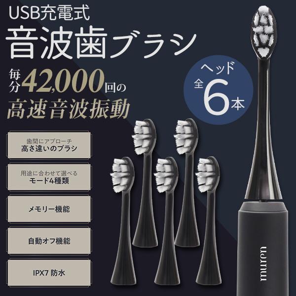 電動歯ブラシ 高速42000回振動 音波振動 替えブラシ付 本体+