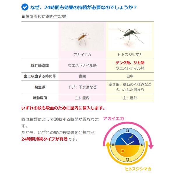 キンチョー 蚊がいなくなるスプレー 255回 無香料 24時間持続 蚊 キンチョー 蚊がいなくなるスプレー 255回 無香料 24時間持続 蚊
