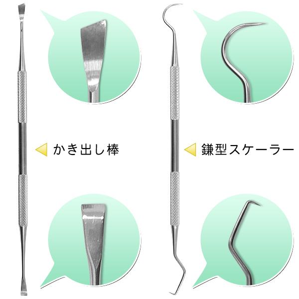 歯石取り スケーラー 5点 自分で取る 歯石除去 ステンレス 器具