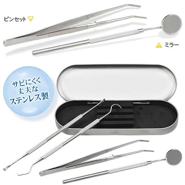 歯石取り スケーラー 5点 自分で取る 歯石除去 ステンレス 器具