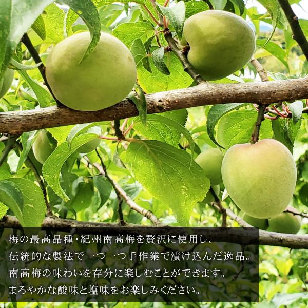梅干し 8粒 梅ぼし はちみつ梅 紀州南高梅 最高品種 手作り 8個 個包装