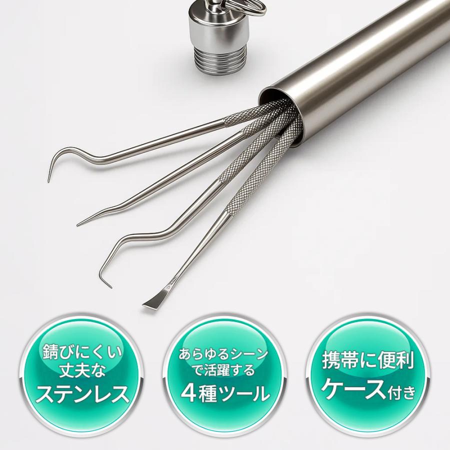 明日まで限定価格‼️保護ケース付き 歯科 スケーラー プローブ デンタルケア 5点セット ケース付き 歯石取り ステンレス製