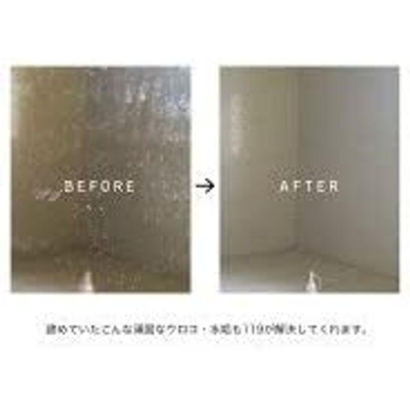 予約販売水垢・鏡のウロコ取りジェル119 HYBRID100ml ダイヤモンドパット付き 浴室用具 おうとケア 2枚セット ノロウィルス感染対策 おう吐 嘔吐 吐瀉物処理 C10047