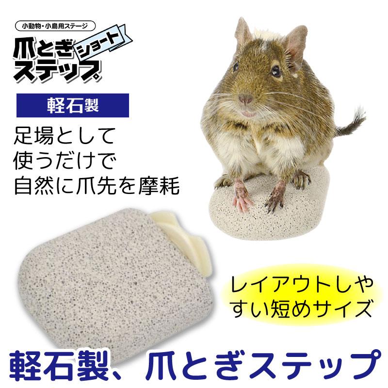 8cmCD] 蒙古草原物語／EVE