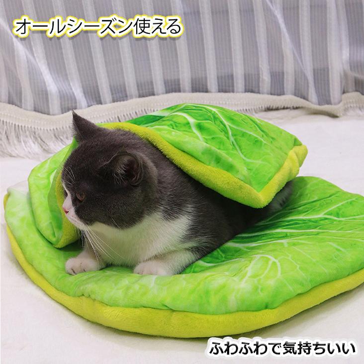 ペットベッド Mサイズ 犬 猫 クッション ふわふわ 可愛い 冬 秋 春 座布団 洗える 目玉焼き布団 面白い ピザ ベーコンブランケット ペットマット Pbm Gmall 通販 Yahoo ショッピング