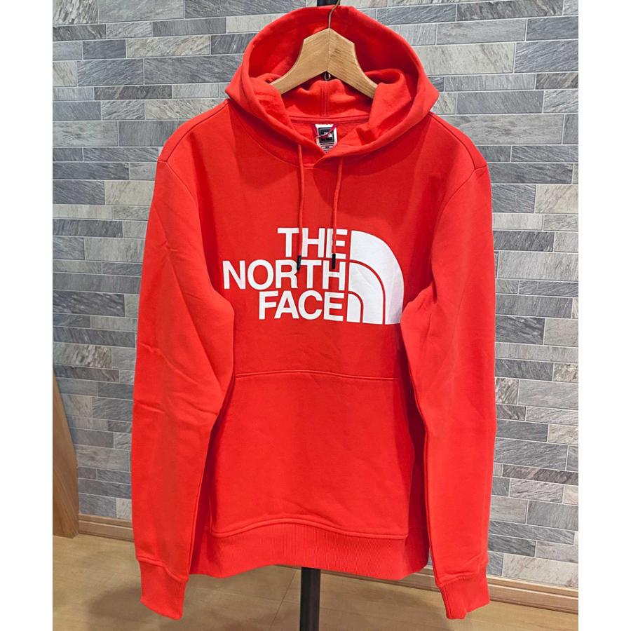 ノースフェイス THE NORTH FACE プリント プルオーバー パーカー THE NORTH FACE (ザ ノースフェイス) 裏起毛 ロゴプリント プル