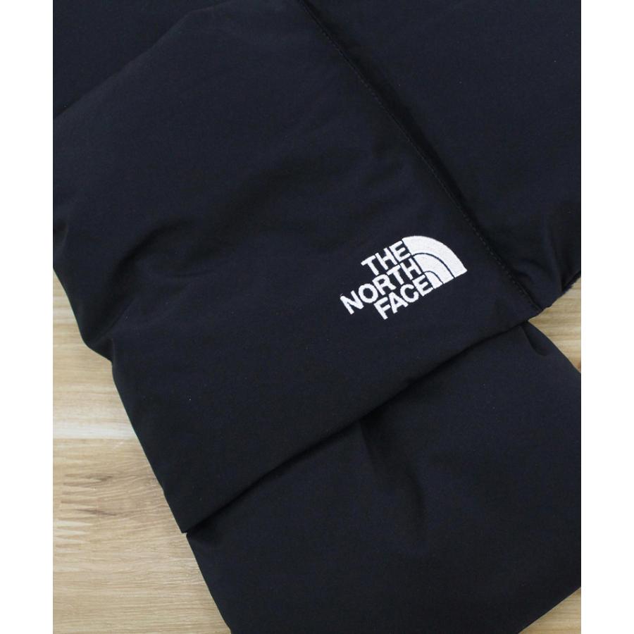THE NORTH FACE（ザ ノースフェイス） ザ ノースフェイス Tボール