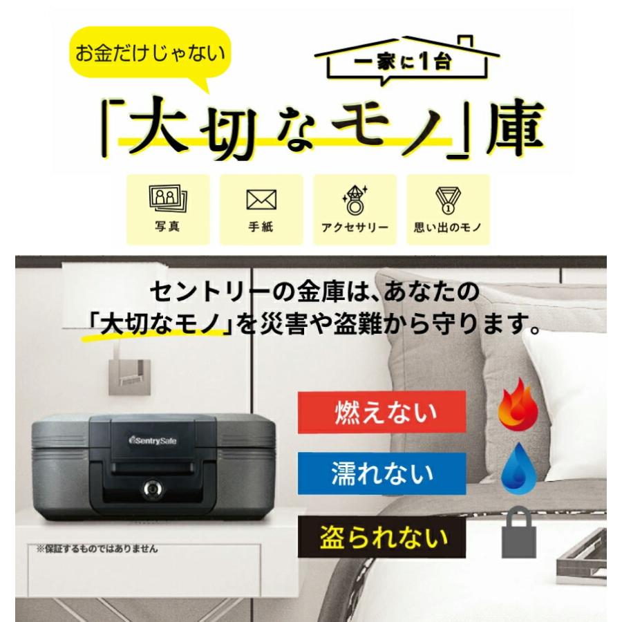 セントリー sentry CHW30100 ポータブル耐火・防水保管庫 フラットキー