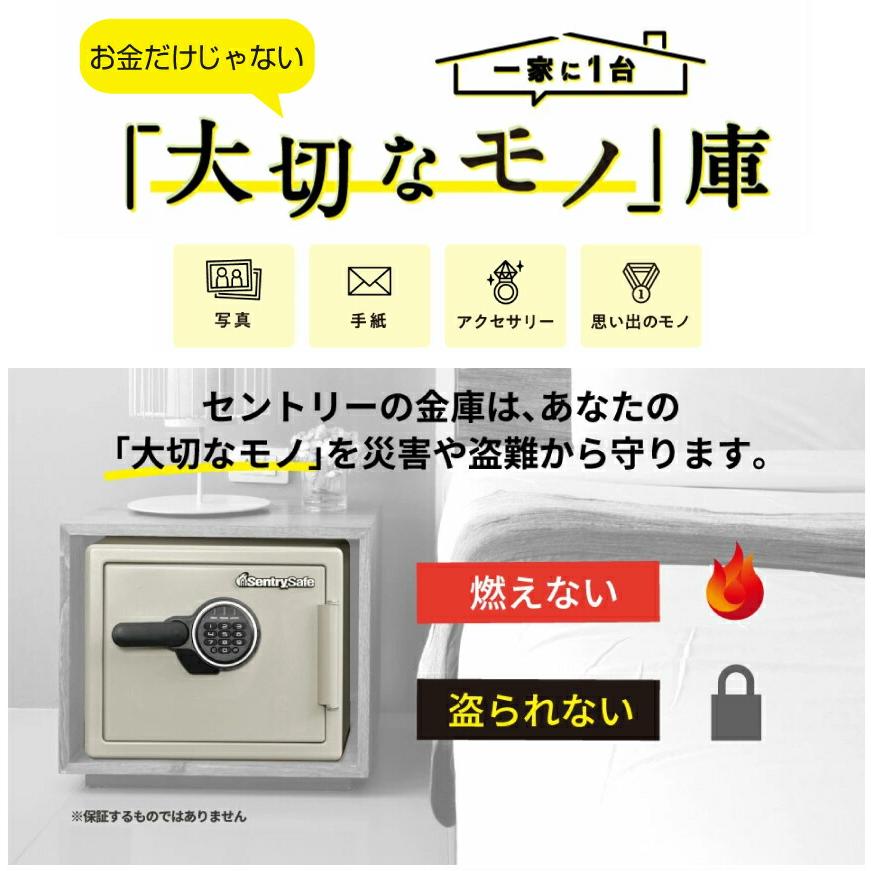 セントリー sentry ビッグボルトシリーズ JF123ET 搬入設置費込み 耐火