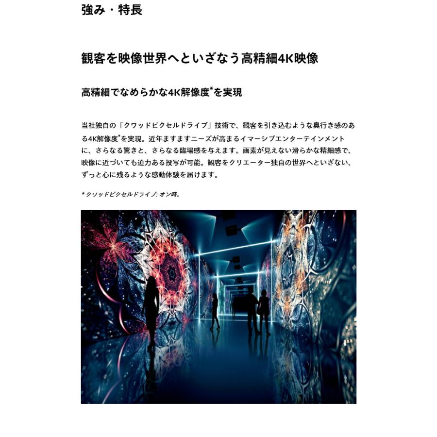Panasonic（パナソニック） (受注生産品) DLPプロジェクター (レンズ