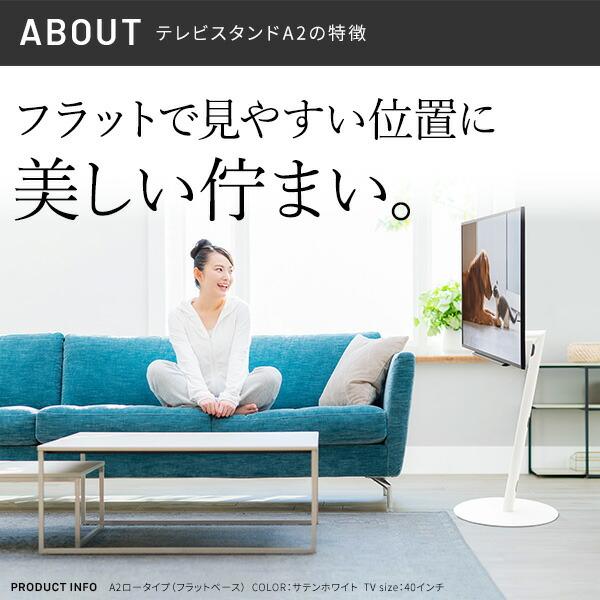 WALL ウォール インテリアテレビスタンドA2 ロータイプ+レコーダー棚板