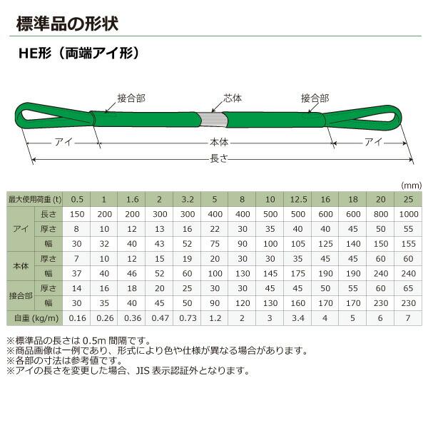 TORAY（東レ） 東レインターナショナル シライマルチスリング HE 両端