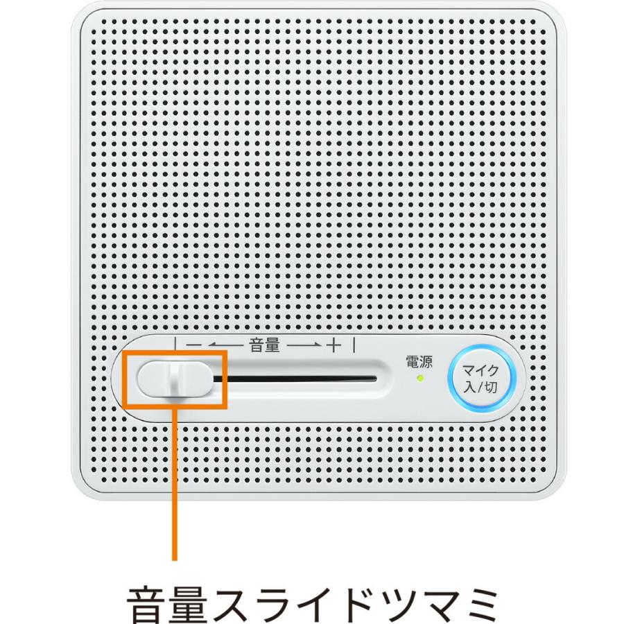メーカー在庫限り シャープ スピーカーシステム GX-CS100の画像