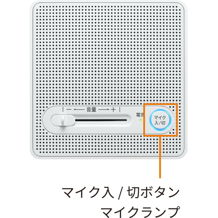 メーカー在庫限り シャープ スピーカーシステム GX-CS100の画像