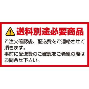 メーカー在庫限り【送料別途見積】NSS 屋外用壁掛けタイプ拡張型デジタルサイネージ本体 65型 NSDS65S-OW (お客様組立品)