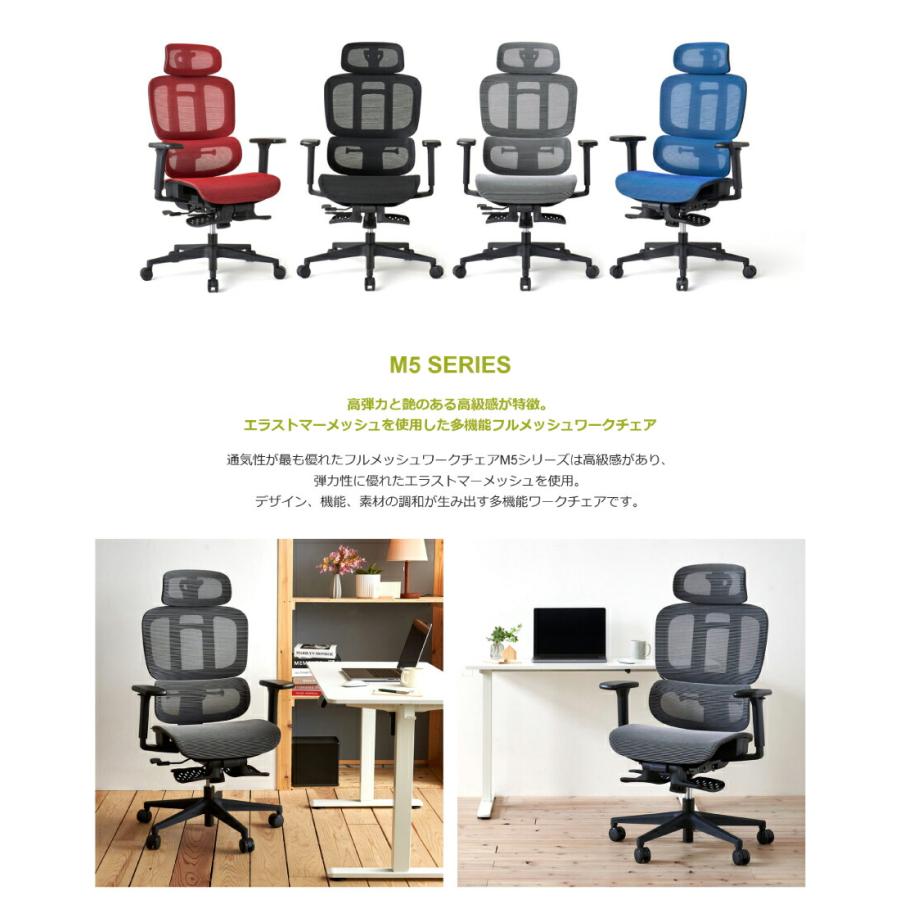 ROOM WORKS (ルームワークス）多機能フルメッシュワークチェア M5