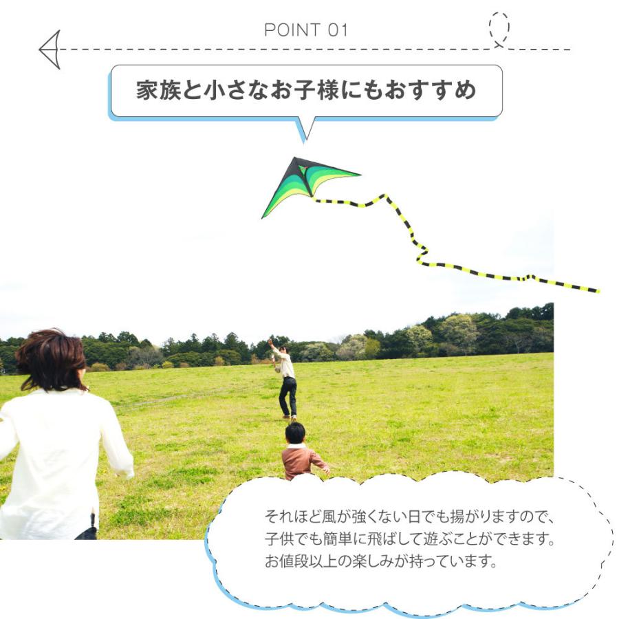 実物 カイト 凧 長尾563cm 凧揚げ 凧上げ タコ揚げ 外遊び キッズ 子供 おもちゃ 玩具 レジャー ピクニック 公園 キャンプ 折りたたみ アウトドア 春 夏 Ktg 0001 Atlantide1 Com