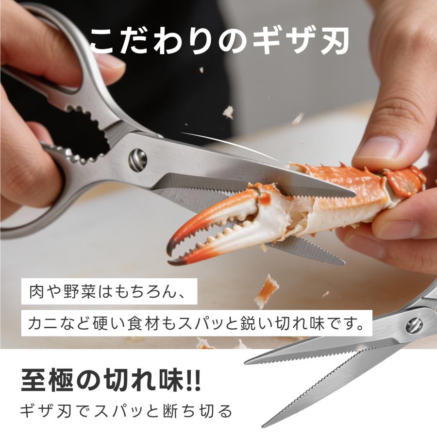 キッチンバサミ オールステンレス キッチンはさみ はさみ 分解して