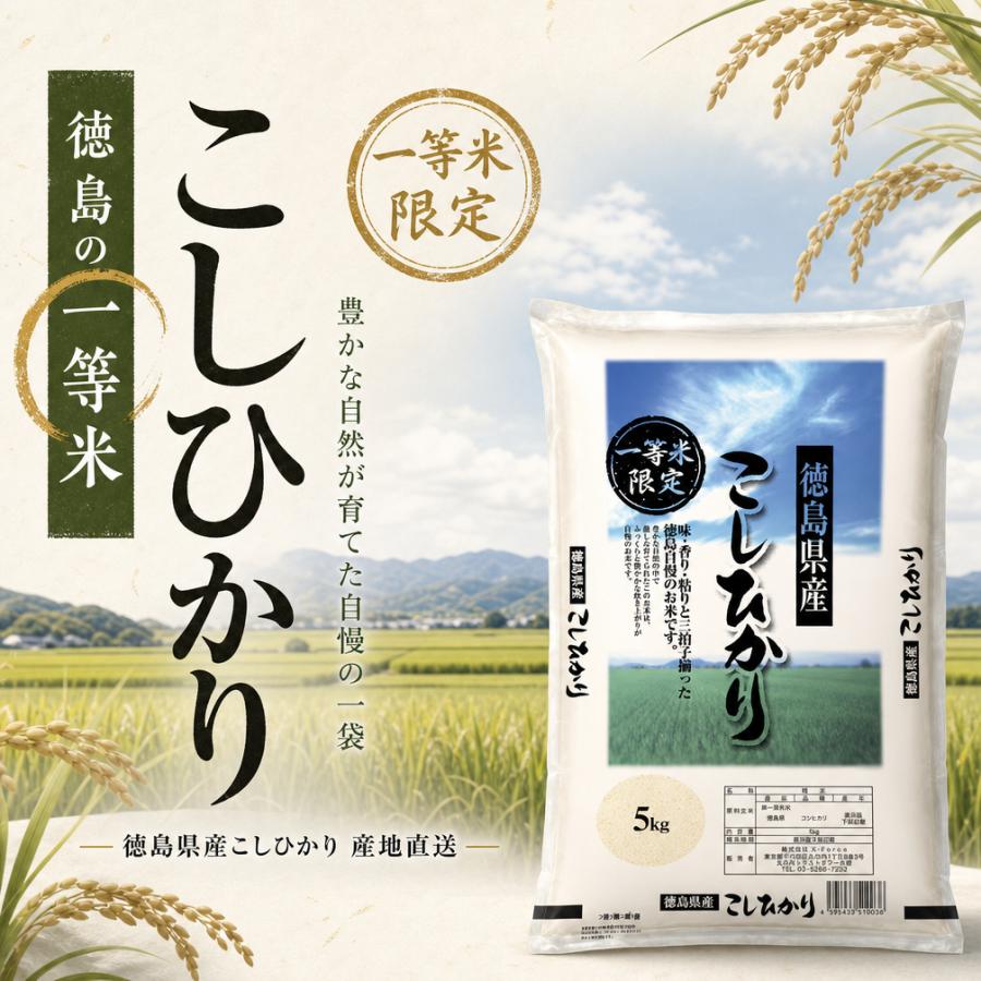 徳島県産 コシヒカリ 一等米 精米 米 5KG 令和7年産 単一原料米 国産