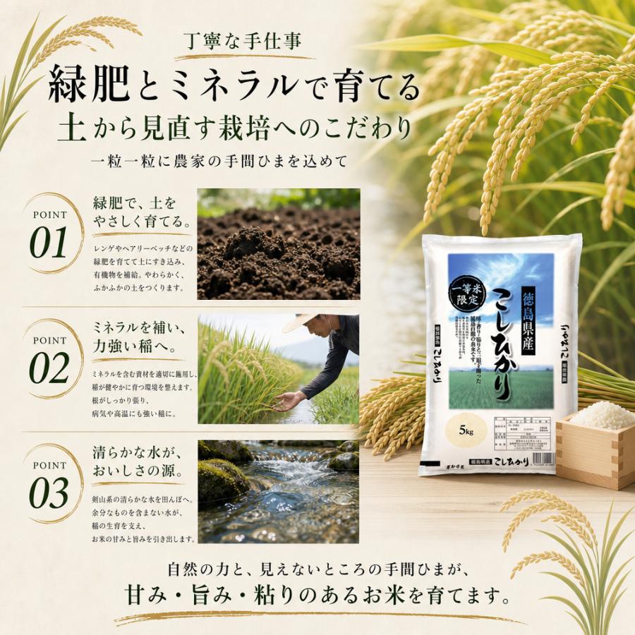 徳島県産 コシヒカリ 新米 令和8年産 一等米 精米 米 5kg 単一原料米