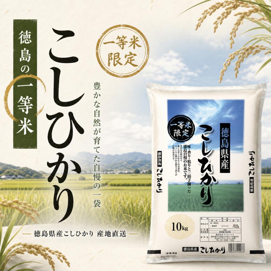 徳島県産 コシヒカリ 一等米 精米 米 10KG 令和7年産 単一原料米 国産