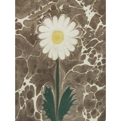 エブル（トルコマーブル画） (F-003)額サイズ32×27cm |  | 01