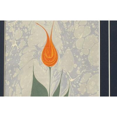 エブル（トルコマーブル画） (F-063)額サイズ47.5×31.5cm |  | 02